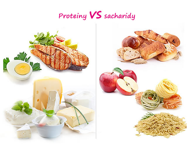 Poměr sacharidů a proteinů v jídlech